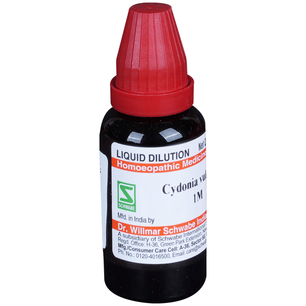 Dr Willmar Schwabe India Cydonia Vulgaris Dilution 1M bottle of 30 ml Dilution