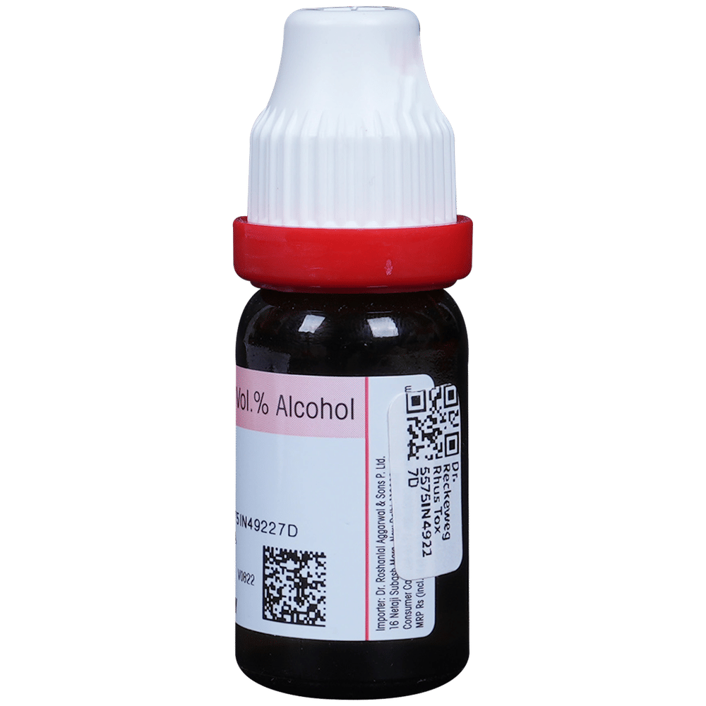 Dr. Reckeweg Rhus Tox Dilution 6 CH bottle of 11 ml Dilution