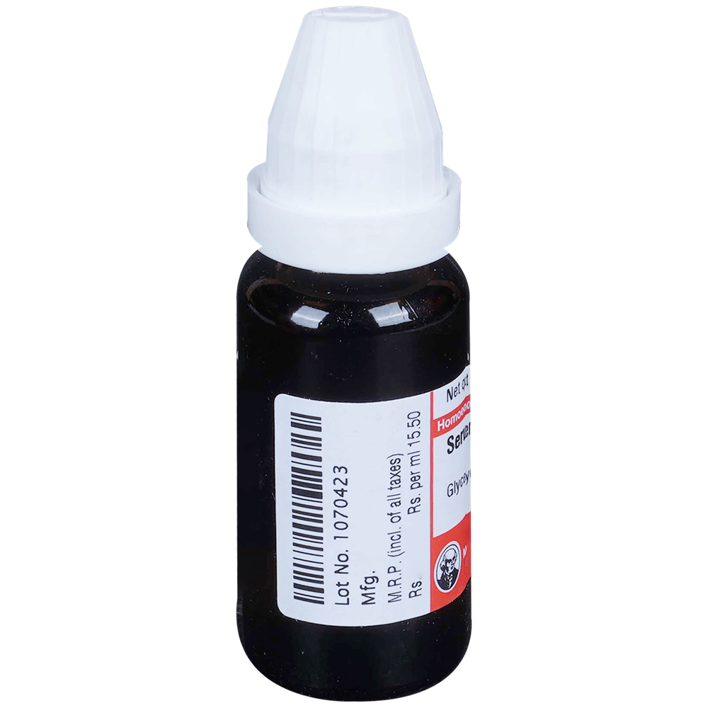 Dr Willmar Schwabe Germany Serum Anguillae Dilution 6X bottle of 20 ml Dilution