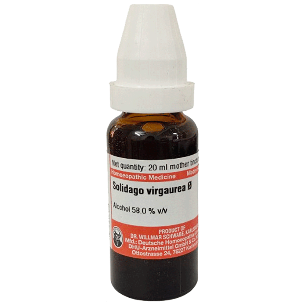 Dr Willmar Schwabe Germany Solidago Viraurea Mother Tincture Q bottle of 20 ml Mother Tincture Dr Willmar Schwabe Germany Solidago Viraurea Mother Tincture Q bottle of 20 ml Mother Tincture