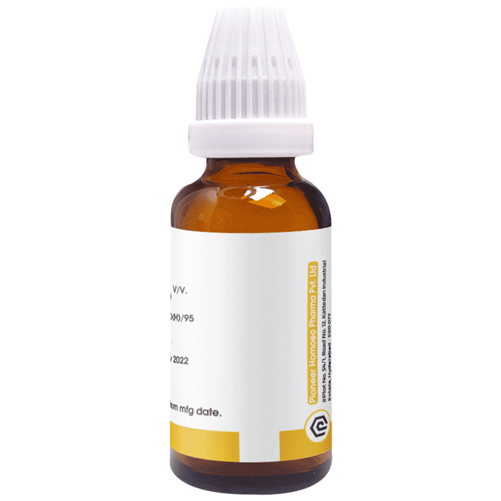 Pioneer Pharma Mother Tincture Hydrangea Q bottle of 30 ml Mother Tincture