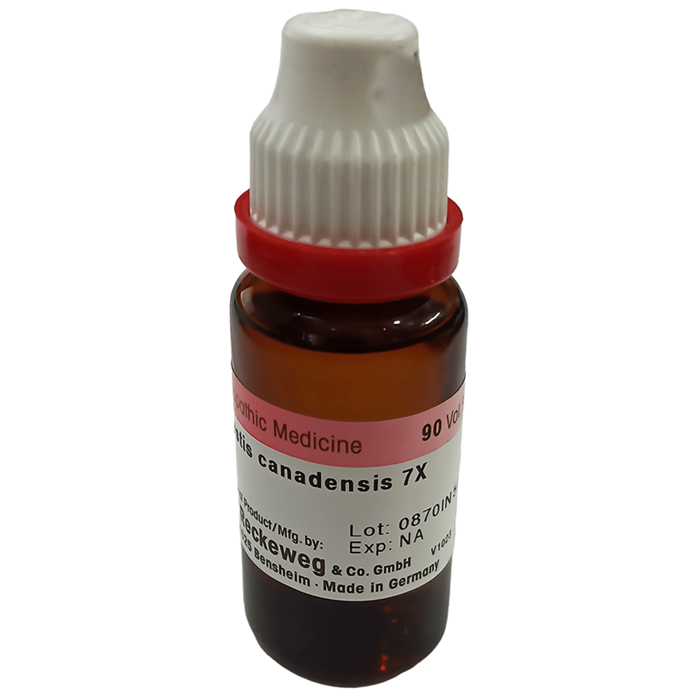 Dr. Reckeweg Hydrastis Canadensis Mother Tincture 7X bottle of 20 ml Mother Tincture
