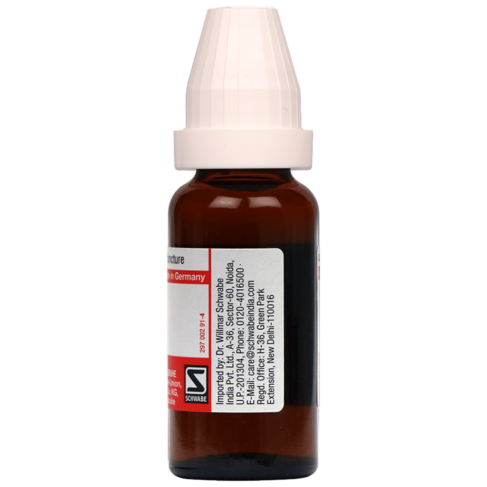 Dr Willmar Schwabe Germany Sabal Serrulata Mother Tincture Q bottle of 20 ml Mother Tincture Dr Willmar Schwabe Germany Sabal Serrulata Mother Tincture Q bottle of 20 ml Mother Tincture