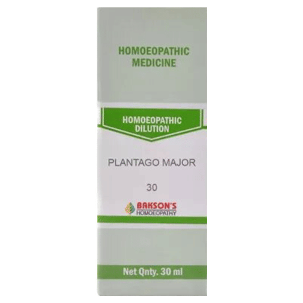 Bakson's Homeopathy Plantago Major Dilution 30 bottle of 30 ml Dilution