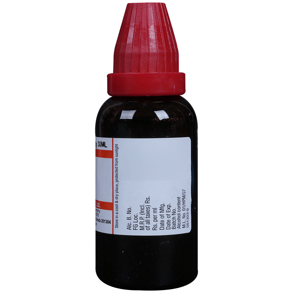 Dr Willmar Schwabe India Carica Papaya Mother Tincture Q bottle of 30 ml Mother Tincture