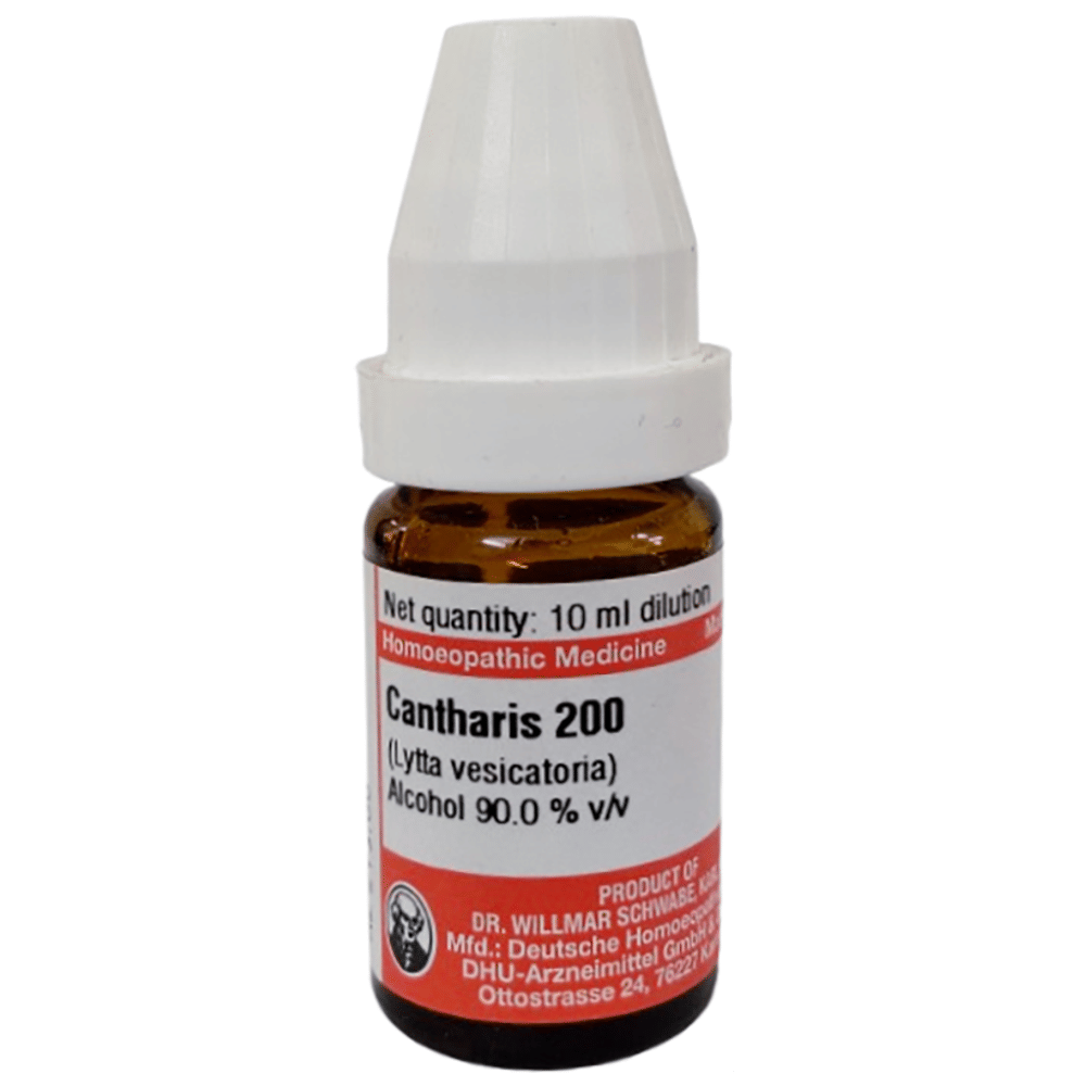 Dr Willmar Schwabe Germany Cantharis Dilution 200 bottle of 10 ml Dilution