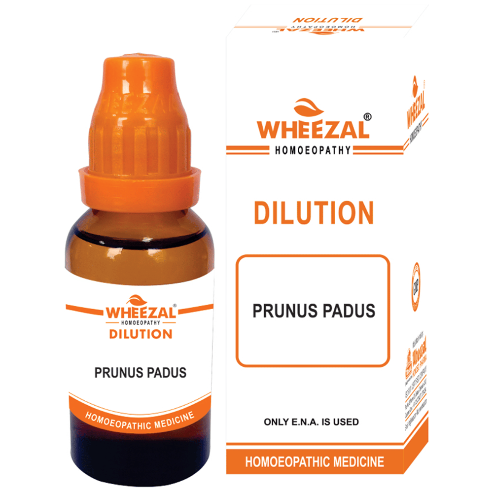 Wheezal Prunus Padus Dilution 6 bottle of 30 ml Dilution