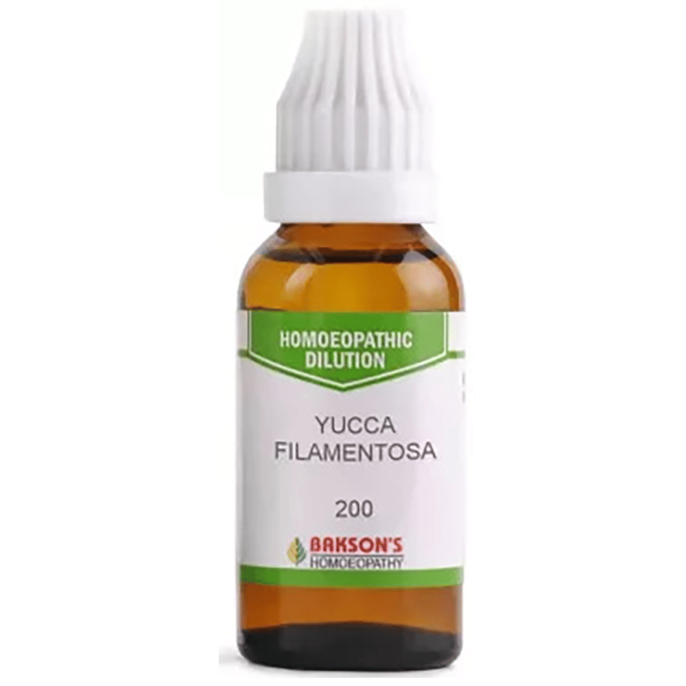 Bakson's Homeopathy Yucca Filamentosa Dilution 200 bottle of 30 ml Dilution Bakson's Homeopathy Yucca Filamentosa Dilution 200 bottle of 30 ml Dilution