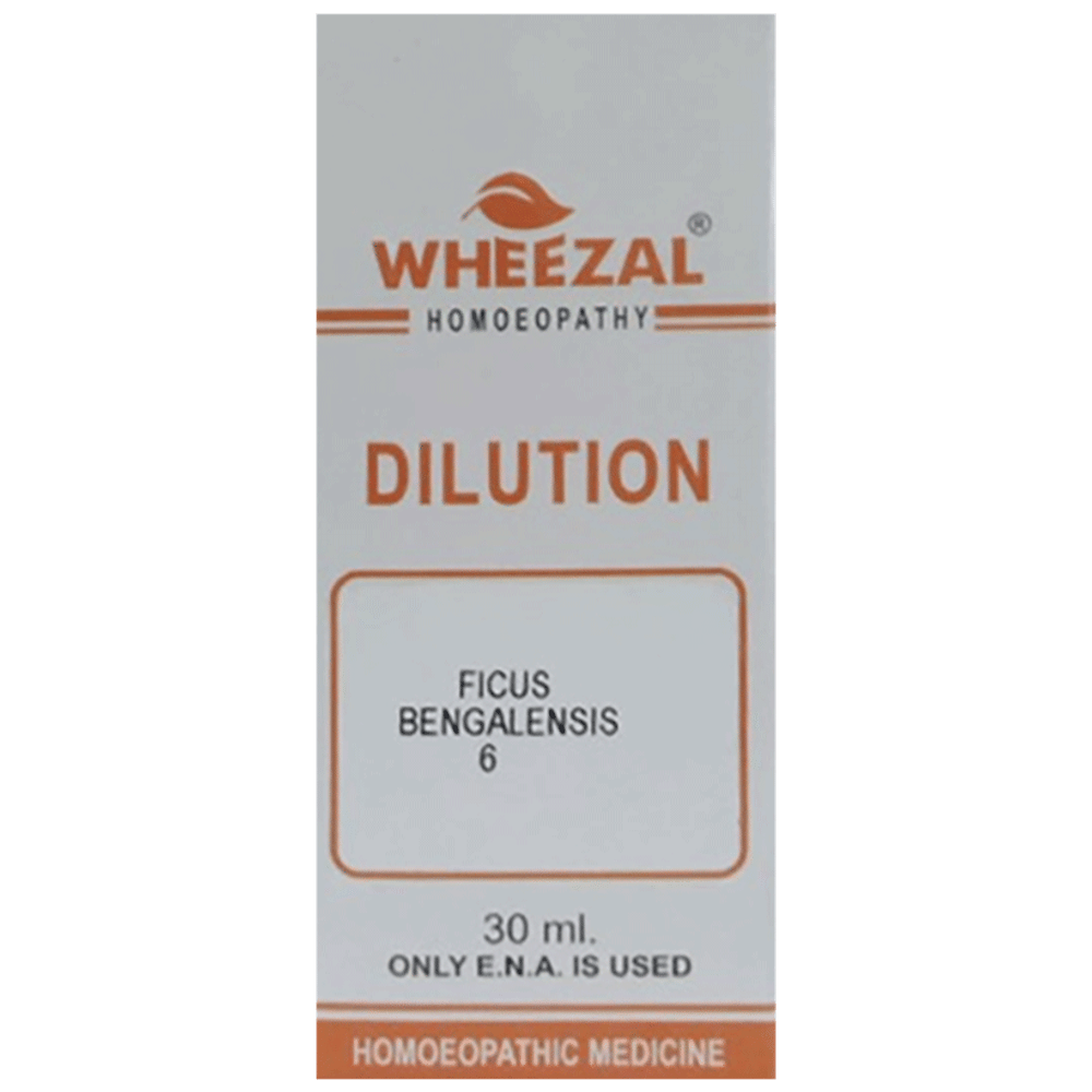 Wheezal Ficus Bangalensis Dilution 6 bottle of 200 ml Dilution