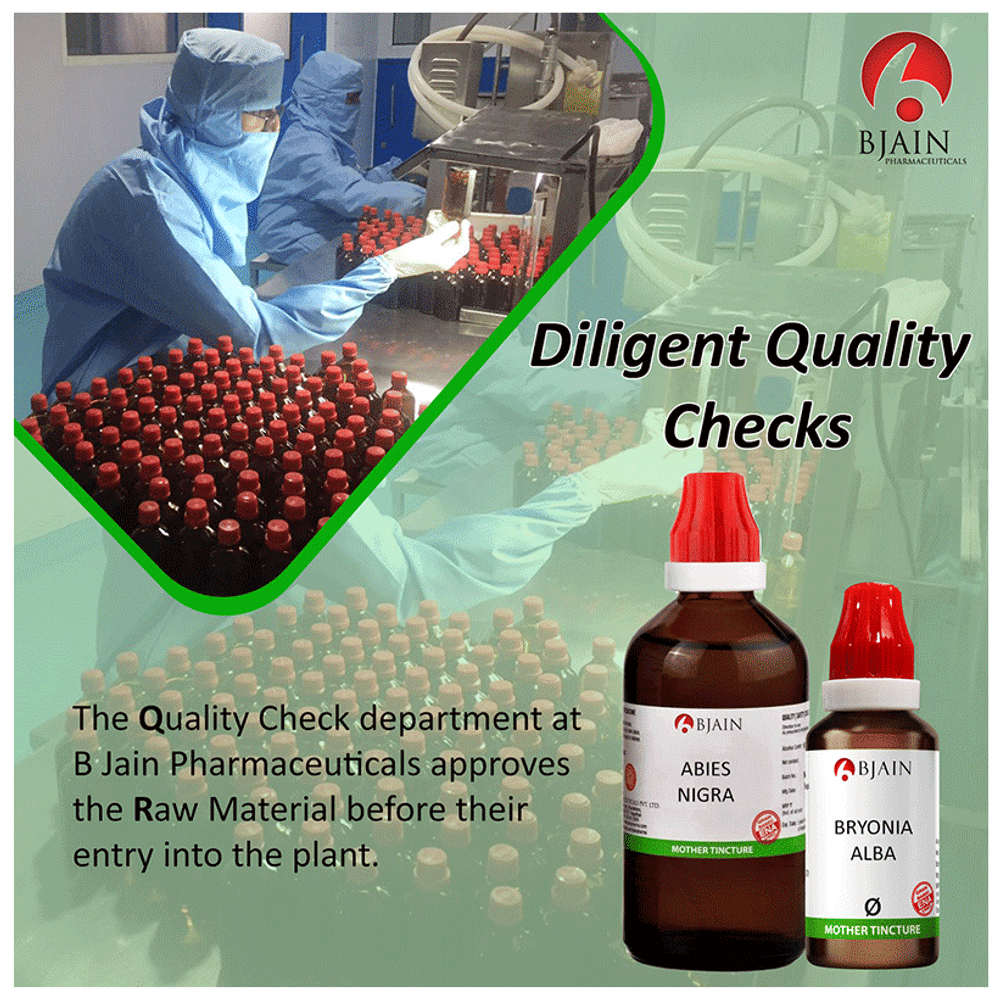 Bjain Aspidosperma Quebracho Mother Tincture Q bottle of 30 ml Mother Tincture