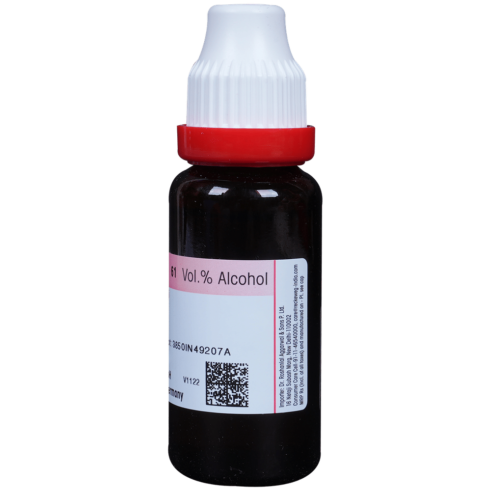 Dr. Reckeweg Hydrangea Mother Tincture Q bottle of 20 ml Mother Tincture