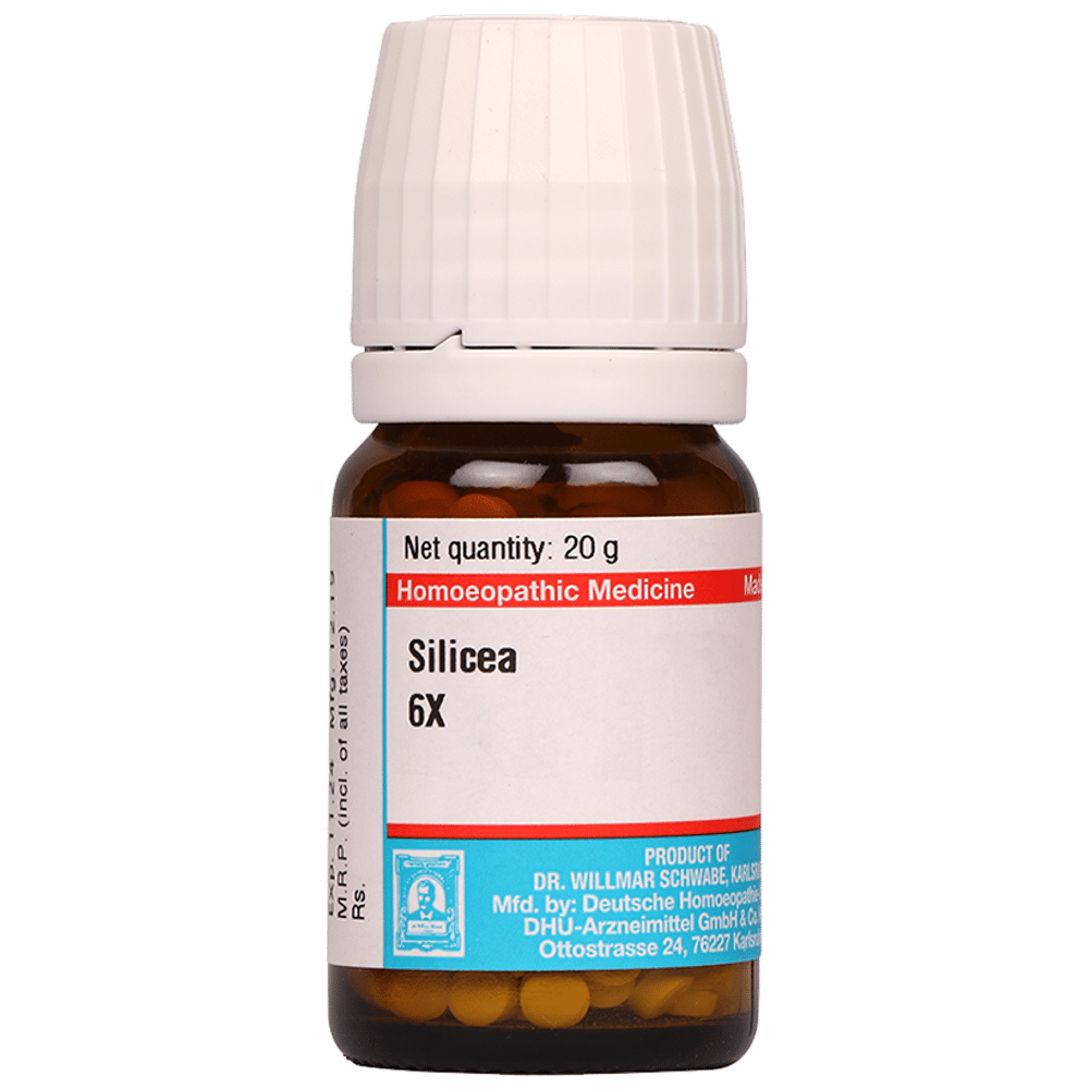 Dr Willmar Schwabe Germany Silicea Tablet 6X bottle of 20 gm Tablet