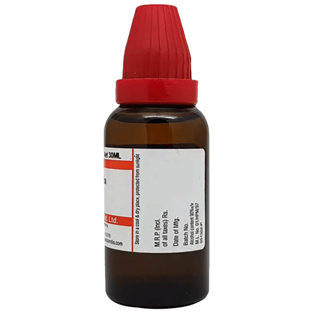 Dr Willmar Schwabe India Cannabis Indica Mother Tincture Q bottle of 30 ml Mother Tincture