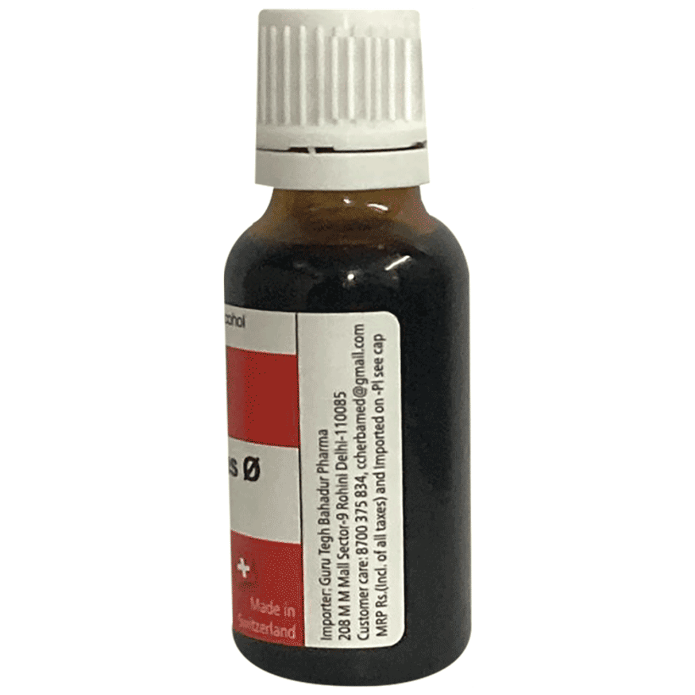 Herbamed Ceanothus Americanus Mother Tincture Q bottle of 20 ml Mother Tincture Herbamed Ceanothus Americanus Mother Tincture Q bottle of 20 ml Mother Tincture