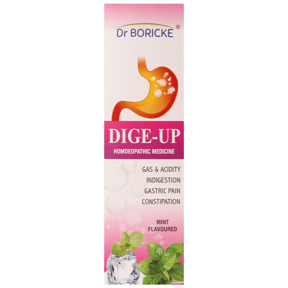 Dr Boricke Dige-Up Syrup Mint bottle of 200 ml Syrup