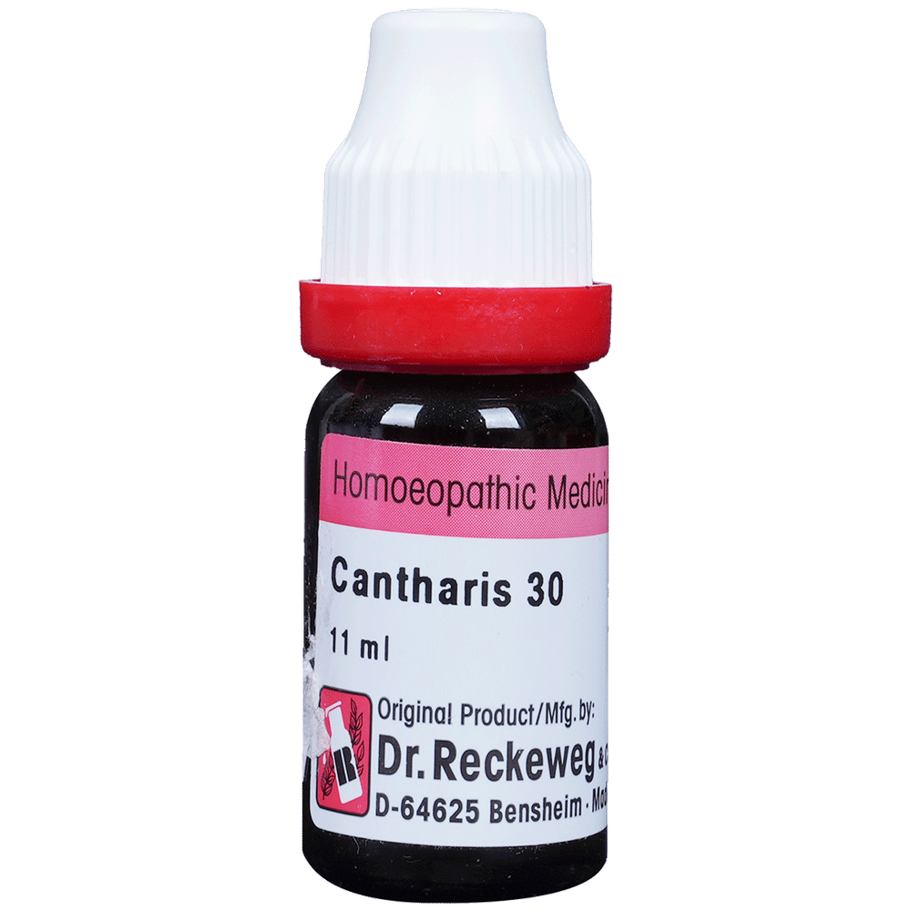 Dr. Reckeweg Cantharis Dilution 30 CH bottle of 11 ml Dilution