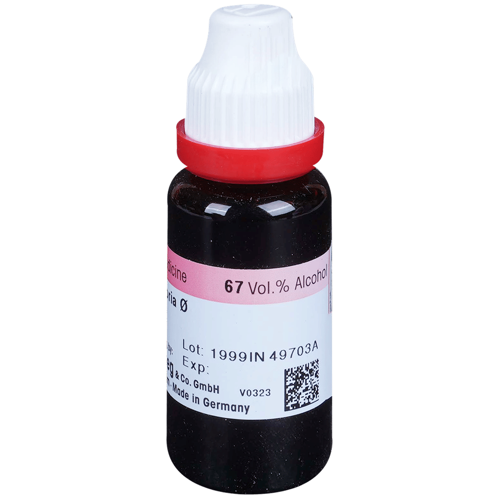 Dr. Reckeweg Baptisia Tinctoria Mother Tincture Q bottle of 20 ml Mother Tincture Dr. Reckeweg Baptisia Tinctoria Mother Tincture Q bottle of 20 ml Mother Tincture