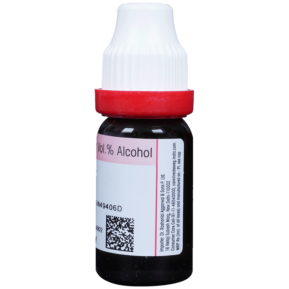Dr. Reckeweg Aesculus Hippocastanum Dilution 30 CH bottle of 11 ml Dilution