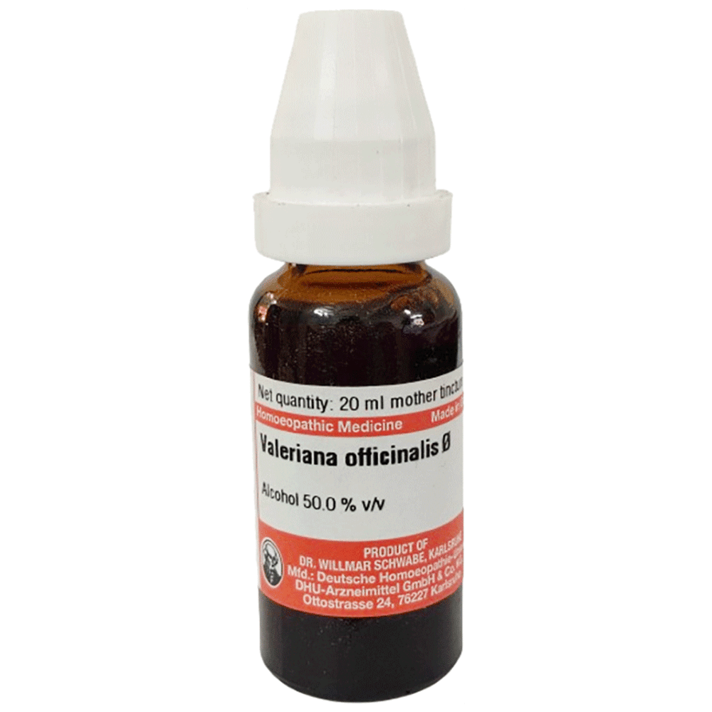 Dr Willmar Schwabe Germany Valeriana Officinalis Mother Tincture Q bottle of 20 ml Mother Tincture Dr Willmar Schwabe Germany Valeriana Officinalis Mother Tincture Q bottle of 20 ml Mother Tincture