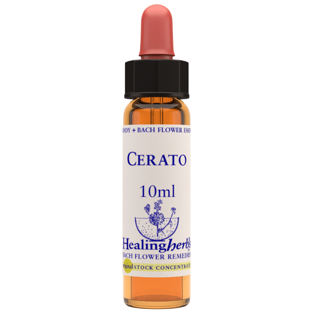 Healing Herbs Cerato bottle of 10 ml Liquid