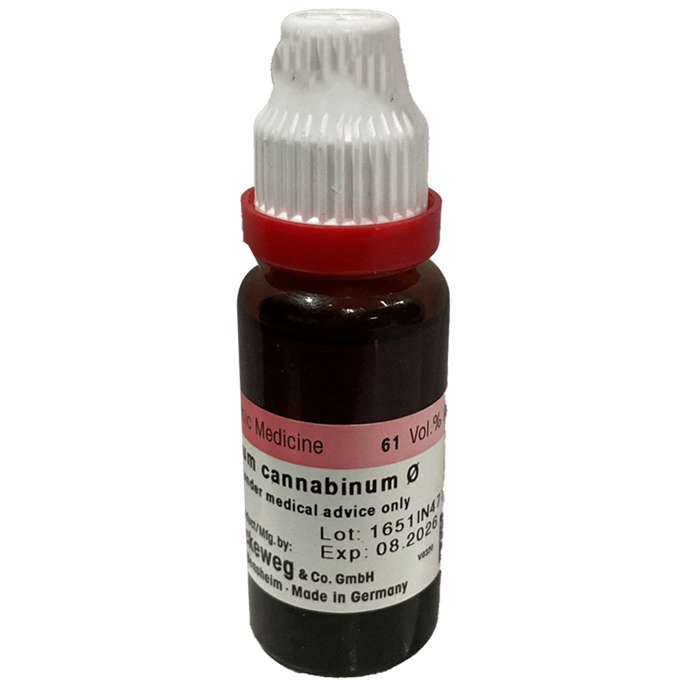 Dr. Reckeweg Apocynum Can Mother Tincture Q bottle of 20 ml Mother Tincture