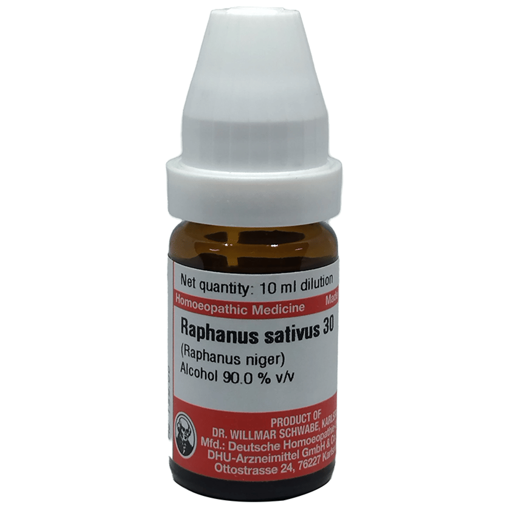Dr Willmar Schwabe Germany Raphanus Sativus (Raphanus Niger) Dilution 30 bottle of 10 ml Dilution