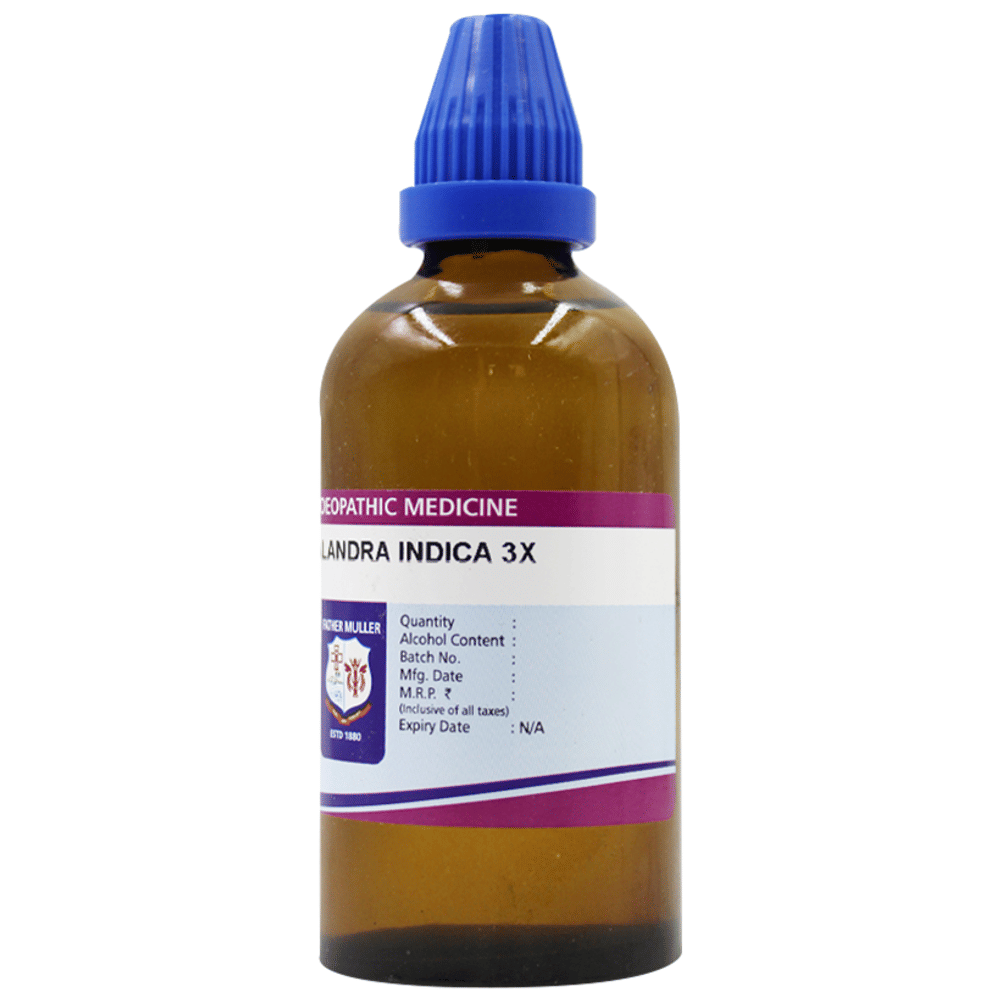 Father Muller Cephalandra Indica 3X bottle of 100 ml Drop