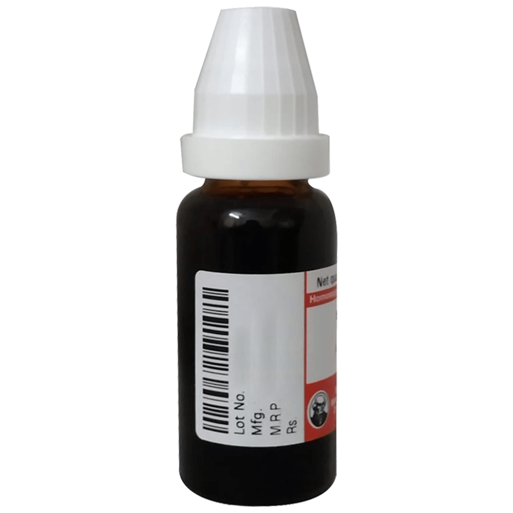 Dr Willmar Schwabe Germany Angelica Archangelica (Angelica) Mother Tincture Q bottle of 20 ml Mother Tincture Dr Willmar Schwabe Germany Angelica Archangelica (Angelica) Mother Tincture Q bottle of 20 ml Mother Tincture
