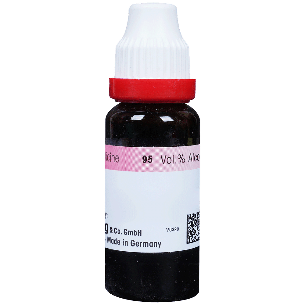 Dr. Reckeweg Guaiacum Mother Tincture Q bottle of 20 ml Mother Tincture