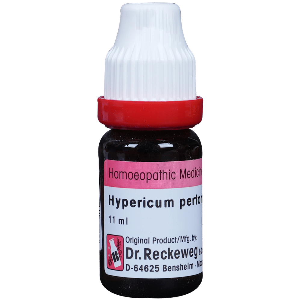 Dr. Reckeweg Hypericum Per Dilution 200 CH bottle of 11 ml Dilution