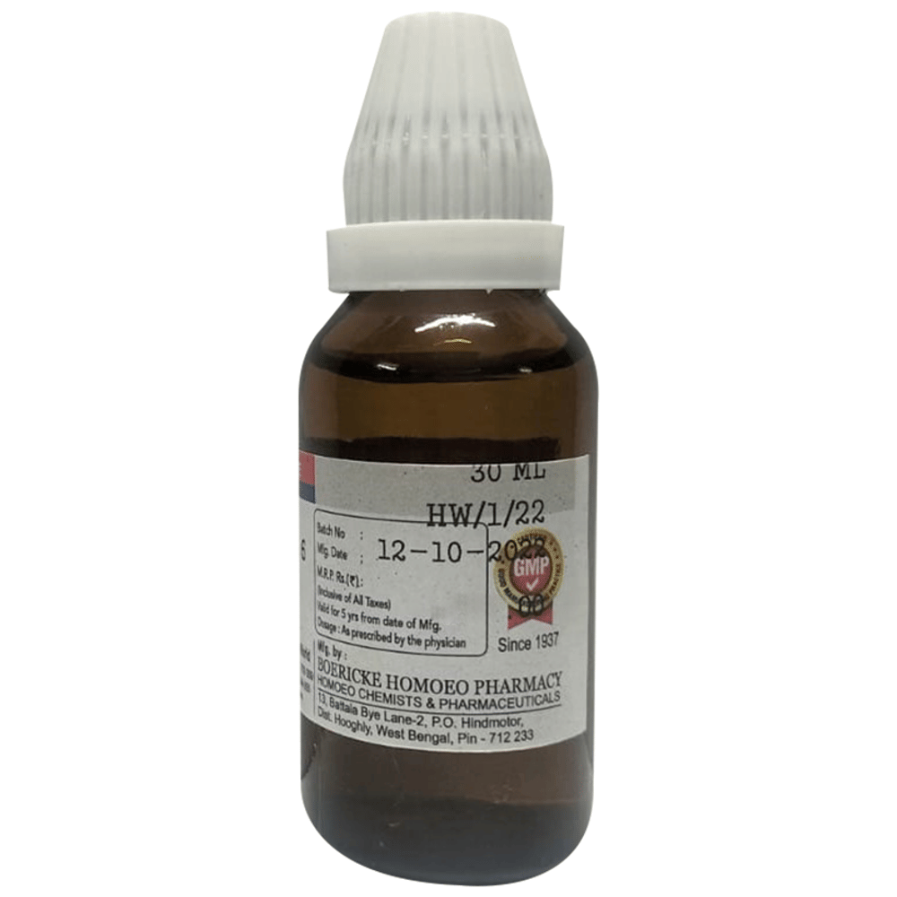 Dr. Majumder Homeo World Arnica Montana Dilution 6 (30ml Each) combo pack of 3 bottles Dr. Majumder Homeo World Arnica Montana Dilution 6 (30ml Each) combo pack of 3 bottles