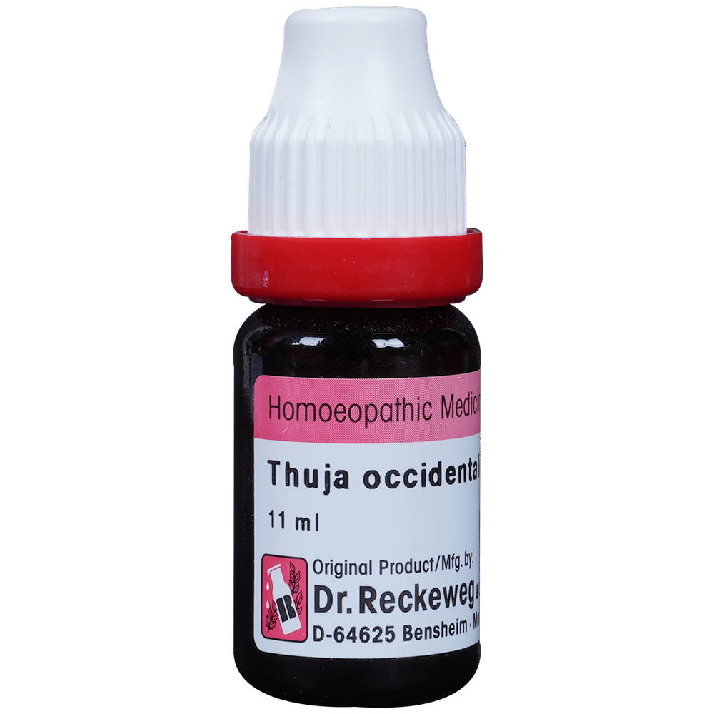 Dr. Reckeweg Thuja Occ Dilution 1000 CH bottle of 11 ml Dilution