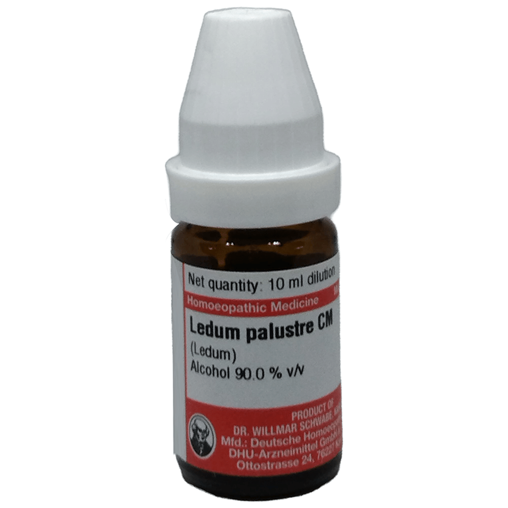Dr Willmar Schwabe Germany Ledum Palustre Dilution CM bottle of 10 ml Dilution
