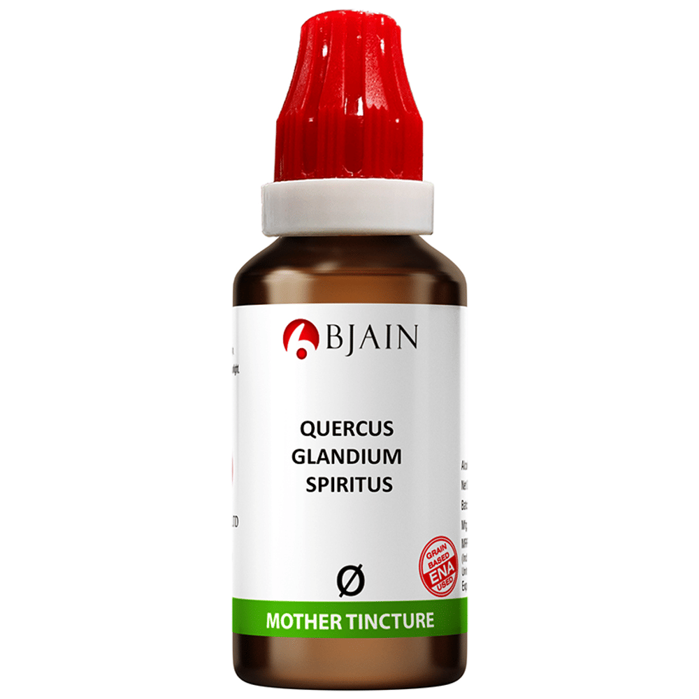 Bjain Quercus Glandium Spiritus Mother Tincture Q bottle of 30 ml Mother Tincture