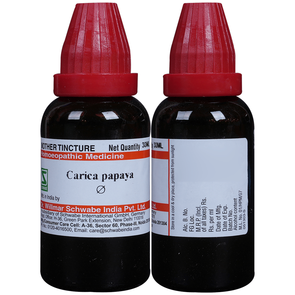 Dr Willmar Schwabe India Carica Papaya Mother Tincture Q bottle of 30 ml Mother Tincture