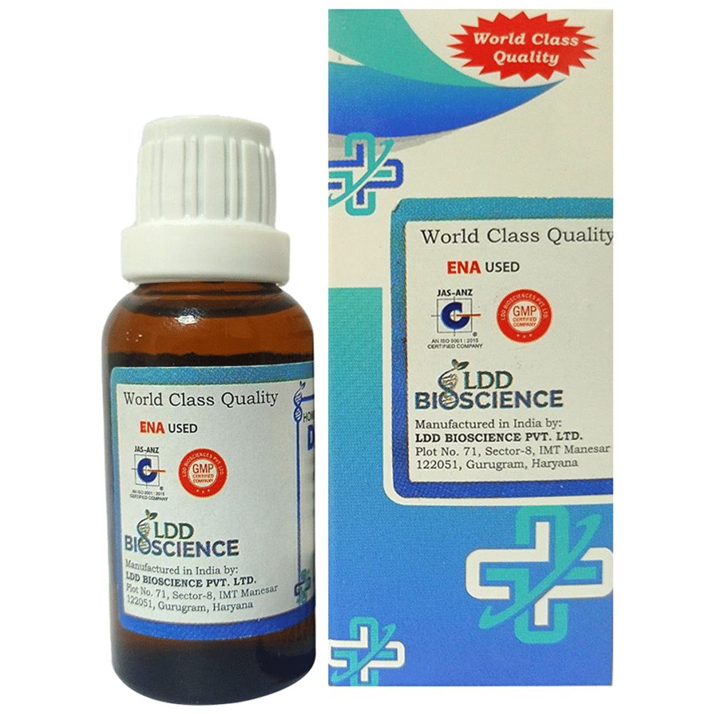 LDD Bioscience Ficus Religiosa Dilution 1000 CH bottle of 30 ml Dilution