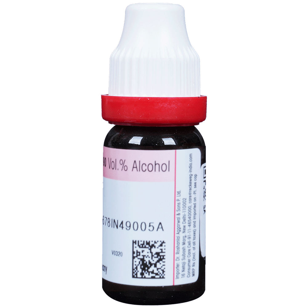 Dr. Reckeweg Graphites Dilution 30 CH bottle of 11 ml Dilution Dr. Reckeweg Graphites Dilution 30 CH bottle of 11 ml Dilution