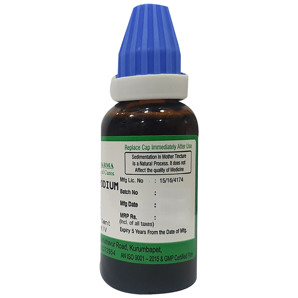 Hering Pharma Lycopodium Mother Tincture Q bottle of 30 ml Mother Tincture
