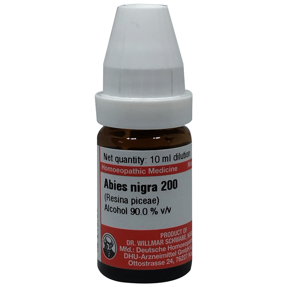 Dr Willmar Schwabe Germany Abies Nigra Dilution 200 bottle of 10 ml Dilution