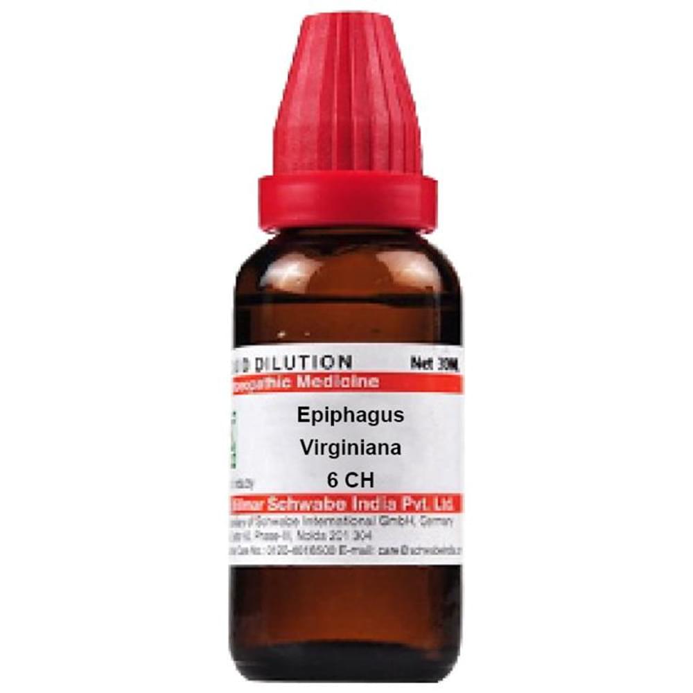 Dr Willmar Schwabe India Epiphagus Virginiana Dilution 6 CH bottle of 30 ml Dilution