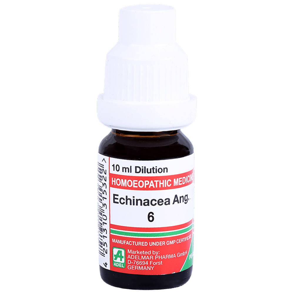ADEL Echinacea Ang. Dilution 6 bottle of 10 ml Dilution
