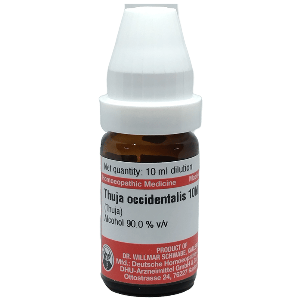 Dr Willmar Schwabe Germany Thuja Occidentalis Dilution 10M bottle of 10 ml Dilution