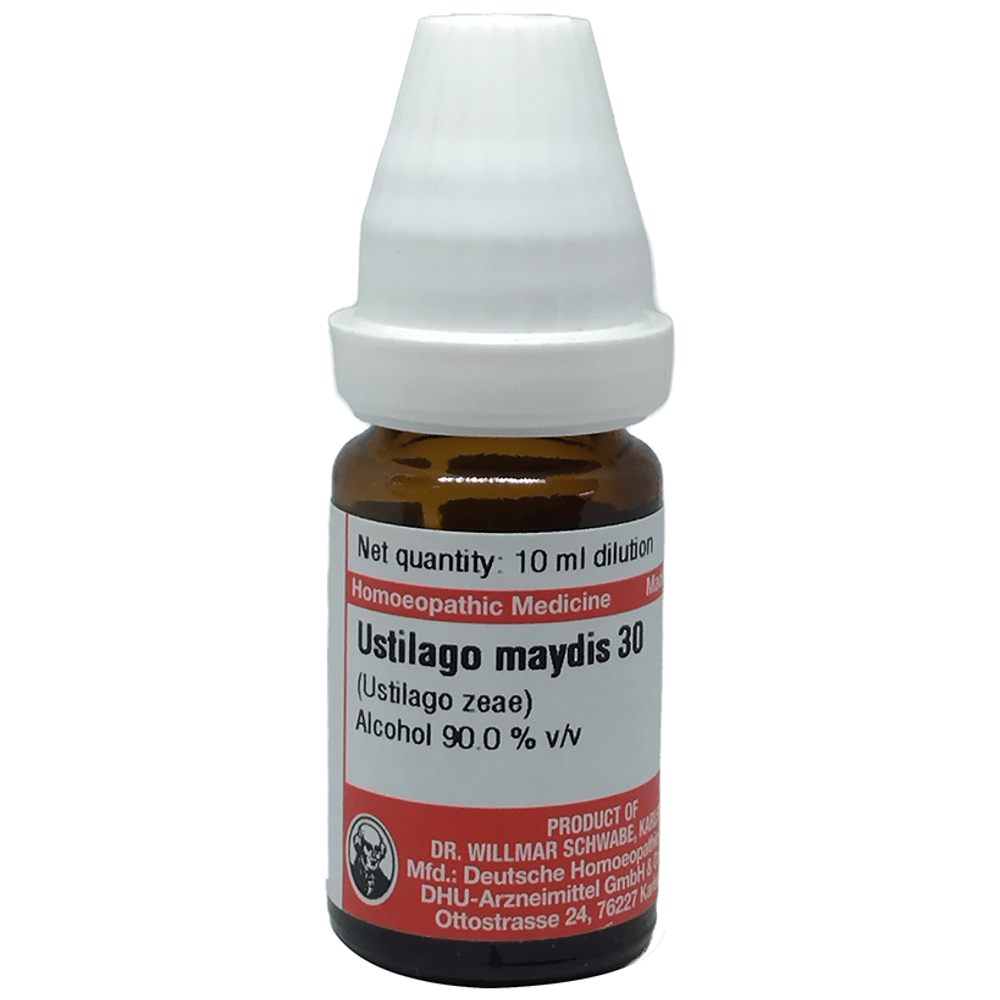 Dr Willmar Schwabe Germany Ustilago Maydis (Ustilago Zeae) Dilution 30 bottle of 10 ml Dilution