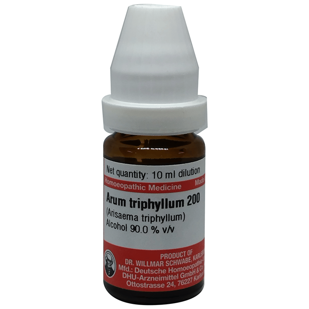 Dr Willmar Schwabe Germany Arum Triphyllum Dilution 200 bottle of 10 ml Dilution