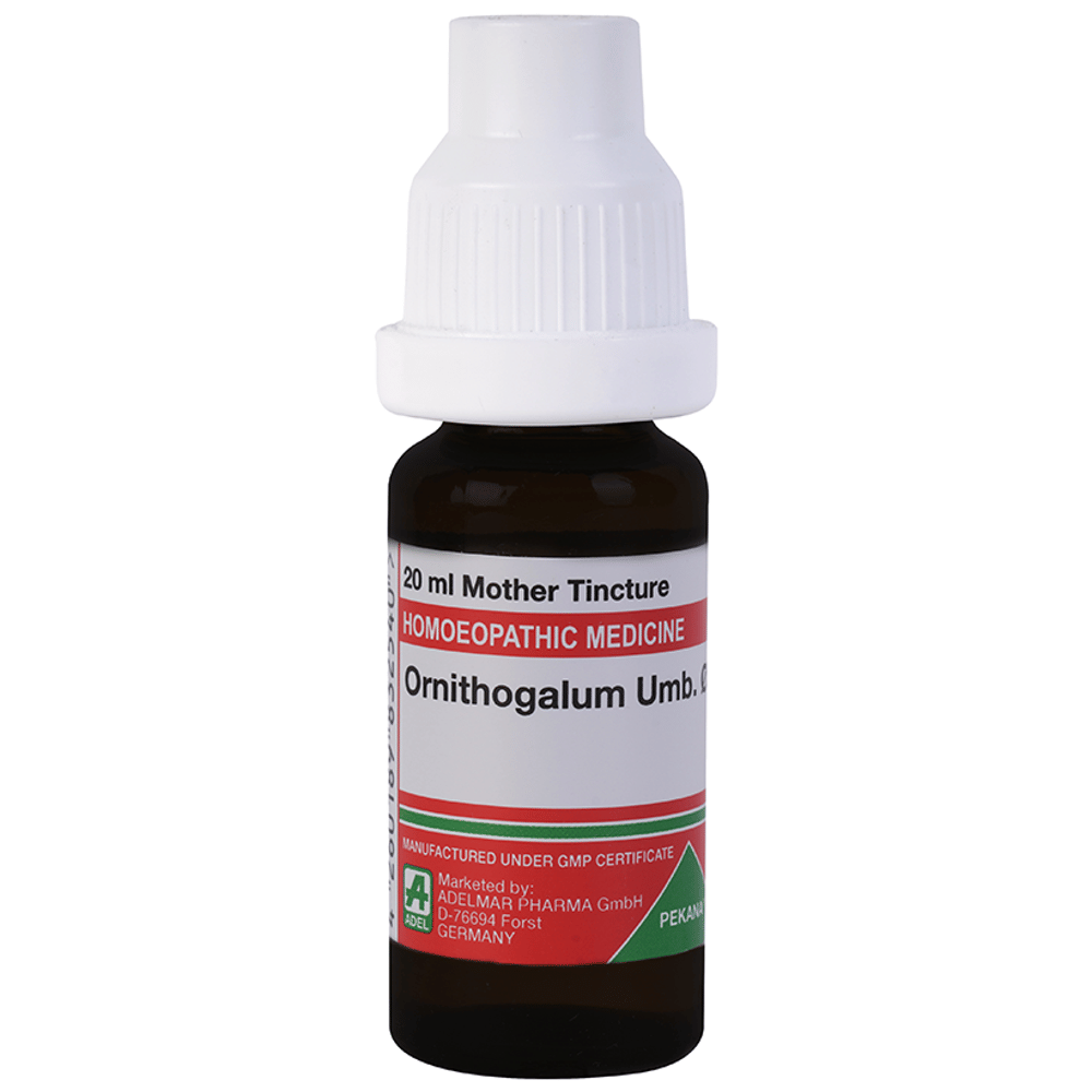 ADEL Ornithogalum Umb. Mother Tincture Q bottle of 20 ml Mother Tincture