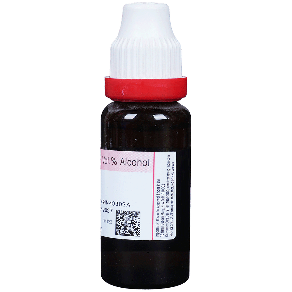 Dr. Reckeweg Yohimbinum Mother Tincture Q bottle of 20 ml Mother Tincture Dr. Reckeweg Yohimbinum Mother Tincture Q bottle of 20 ml Mother Tincture