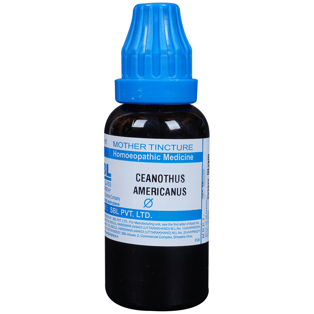 SBL Ceanothus Americanus Mother Tincture Q bottle of 30 ml Mother Tincture