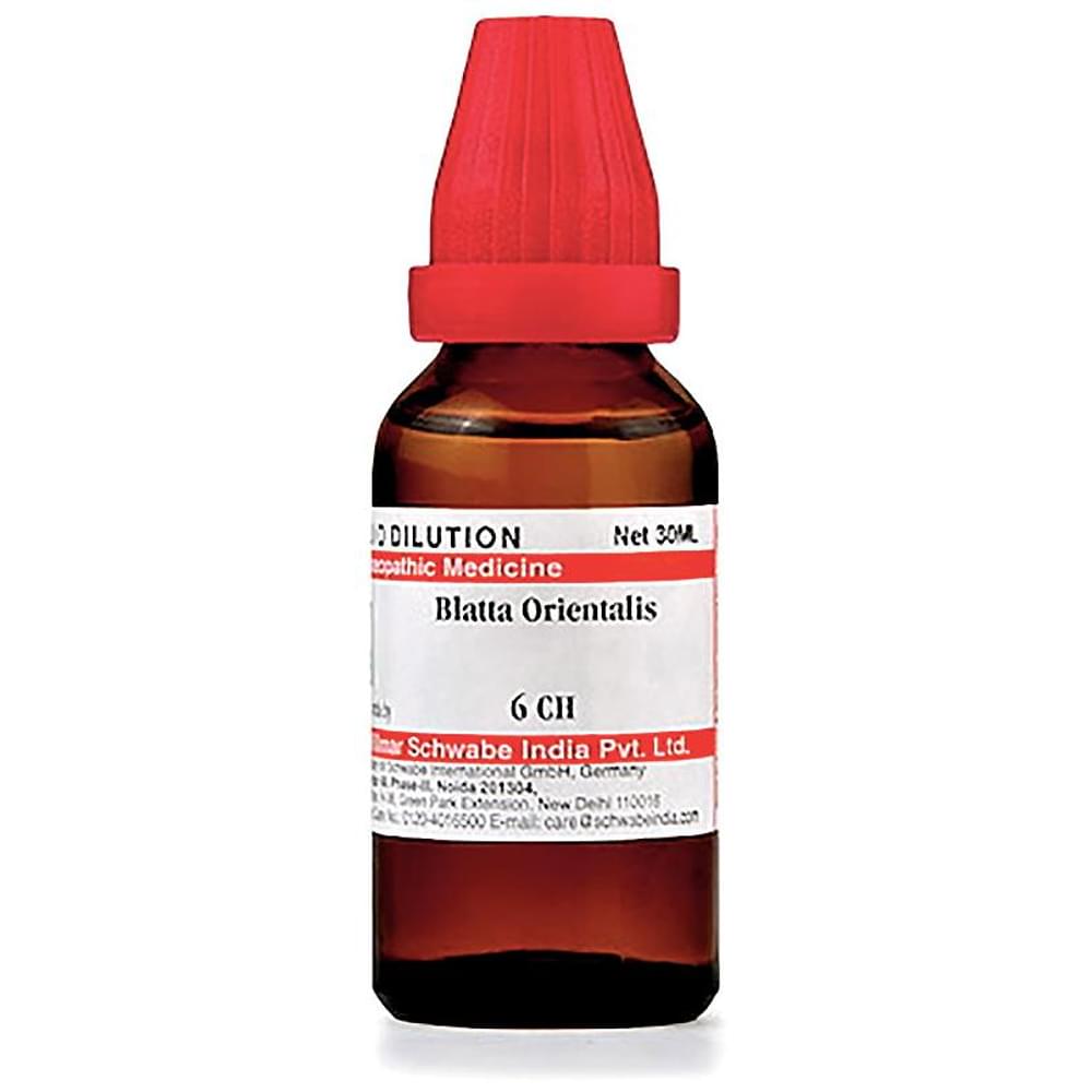 Dr Willmar Schwabe India Blatta Orientalis Dilution 6 CH bottle of 30 ml Dilution