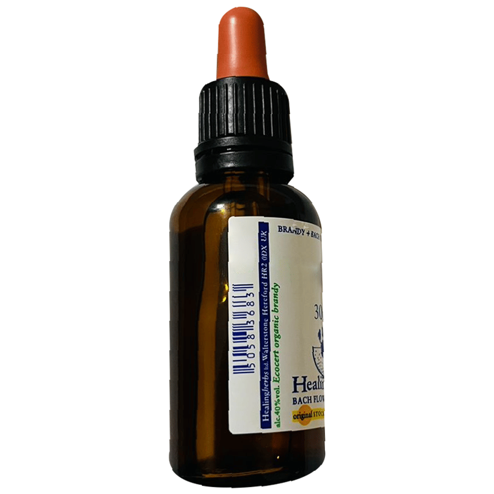 Healing Herbs Bach Flower Elm bottle of 30 ml Liquid