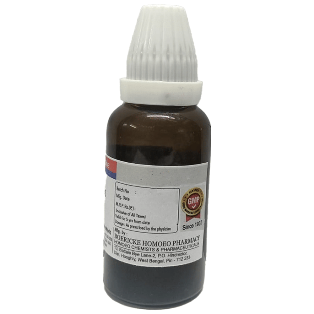 Dr. Majumder Homeo World Belladonna Dilution 3X (30ml Each) combo pack of 2 bottles